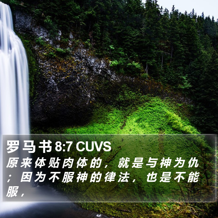 罗 马 书 8:7 CUVS Bible Study