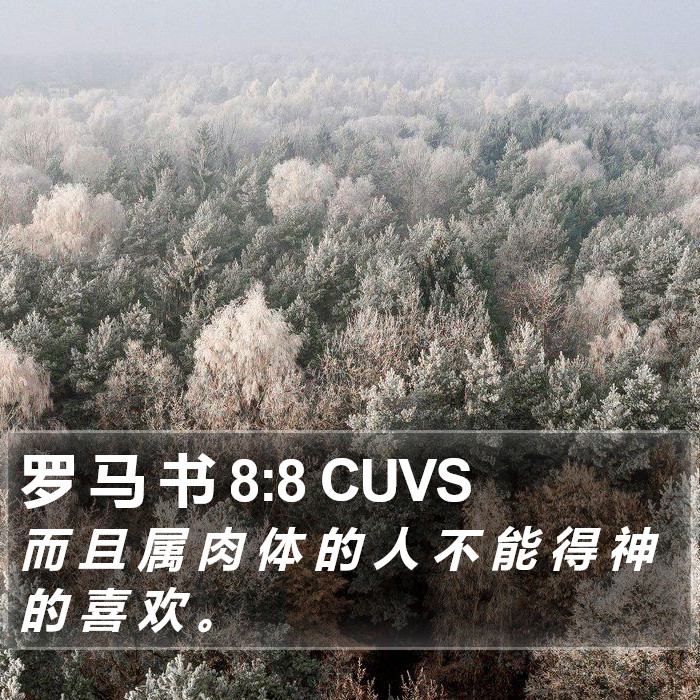 罗 马 书 8:8 CUVS Bible Study