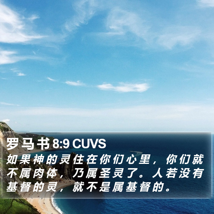 罗 马 书 8:9 CUVS Bible Study