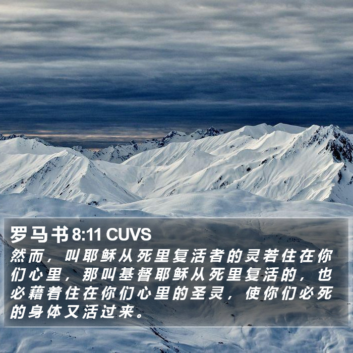 罗 马 书 8:11 CUVS Bible Study