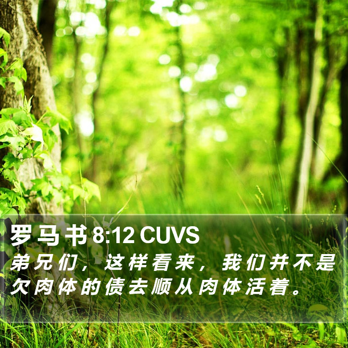 罗 马 书 8:12 CUVS Bible Study