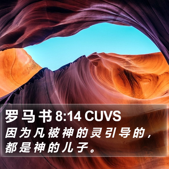 罗 马 书 8:14 CUVS Bible Study