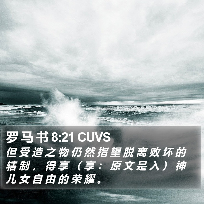 罗 马 书 8:21 CUVS Bible Study