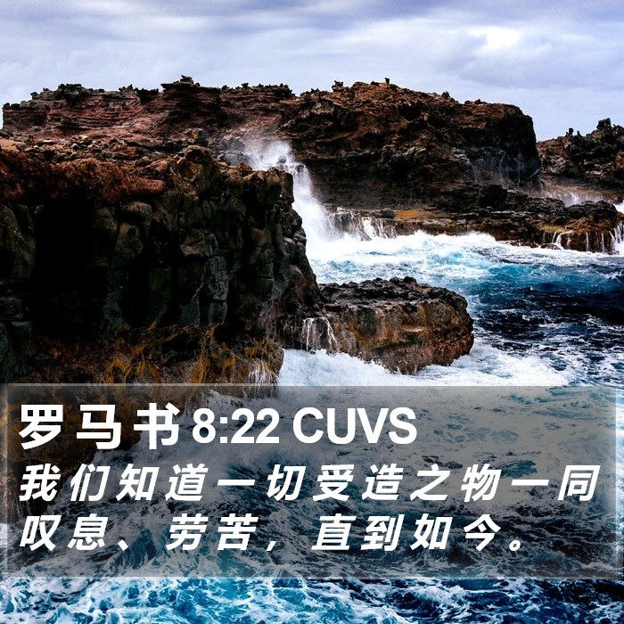 罗 马 书 8:22 CUVS Bible Study