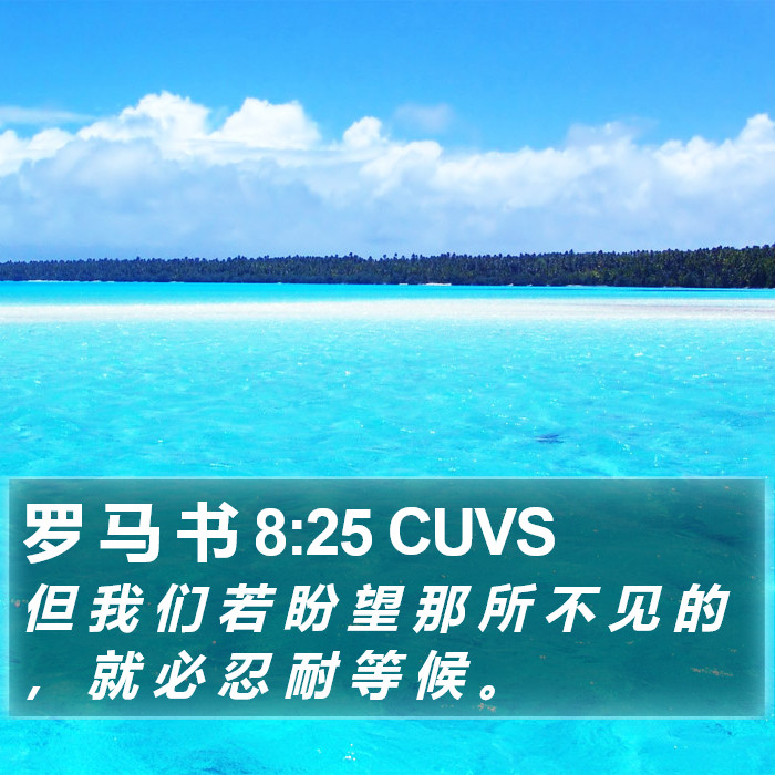 罗 马 书 8:25 CUVS Bible Study