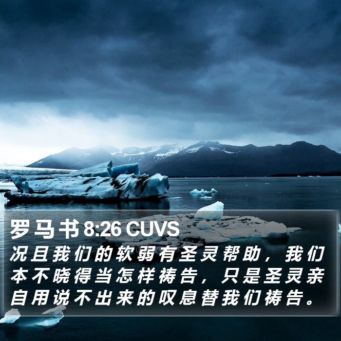 罗 马 书 8:26 CUVS Bible Study