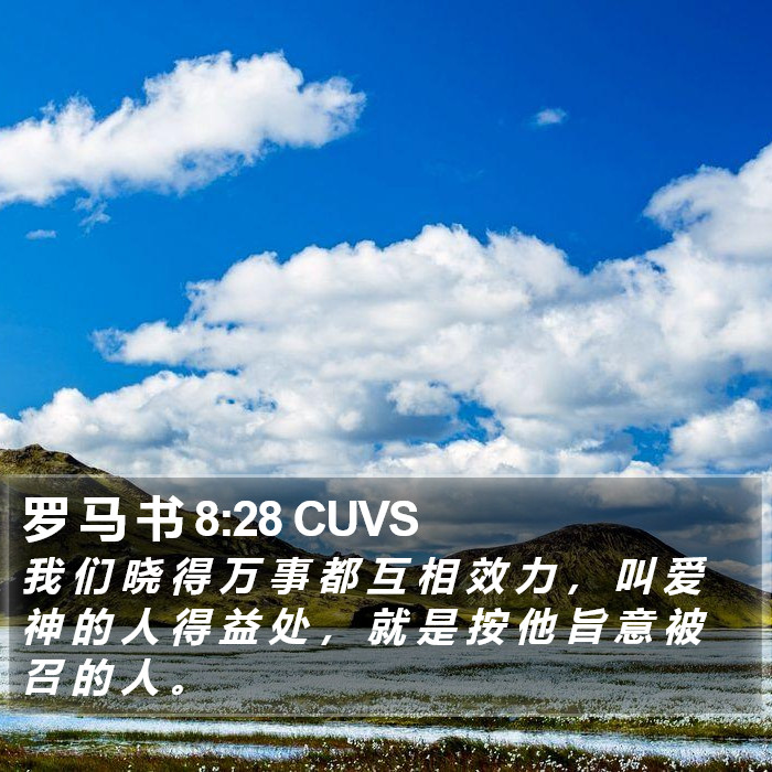 罗 马 书 8:28 CUVS Bible Study