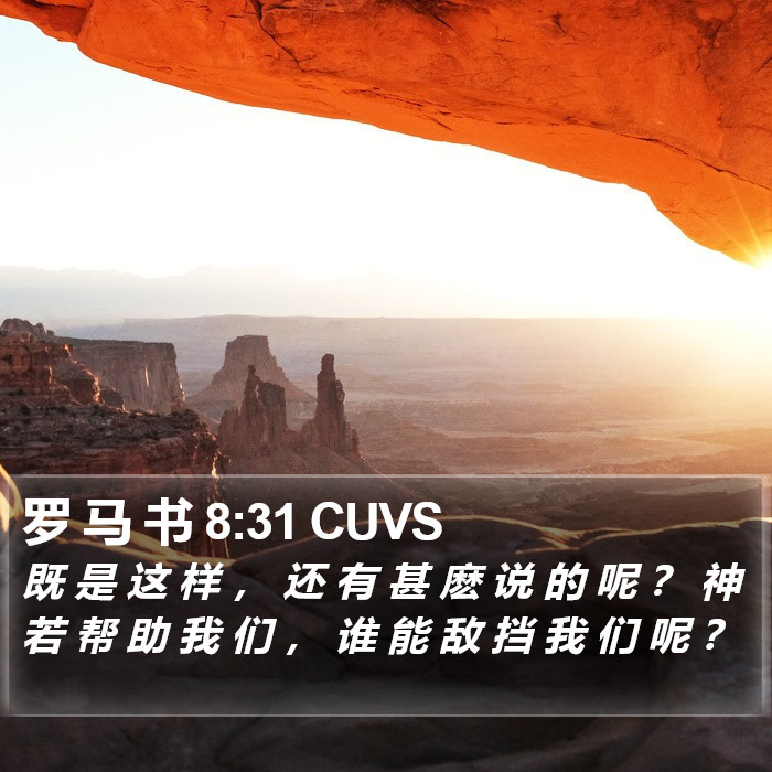 罗 马 书 8:31 CUVS Bible Study