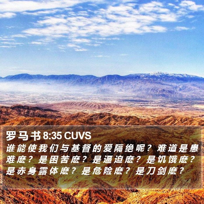 罗 马 书 8:35 CUVS Bible Study