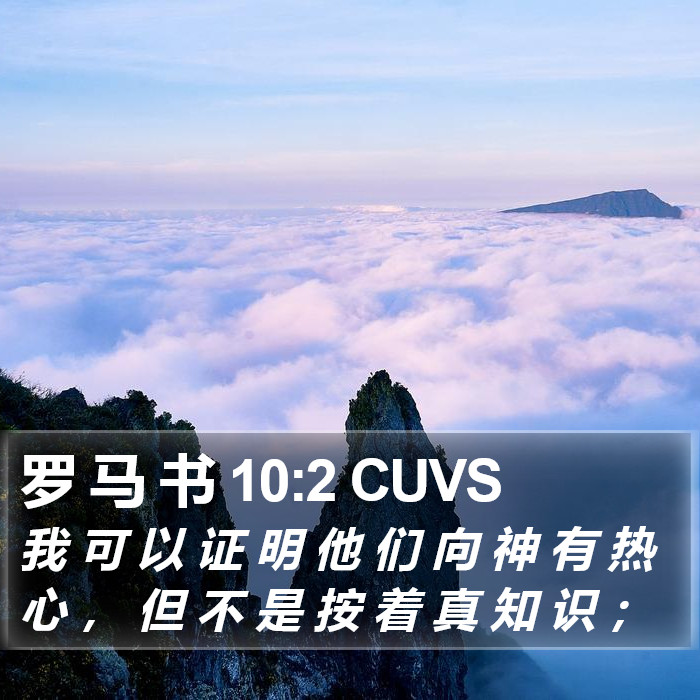 罗 马 书 10:2 CUVS Bible Study