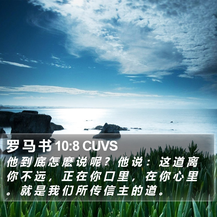 罗 马 书 10:8 CUVS Bible Study