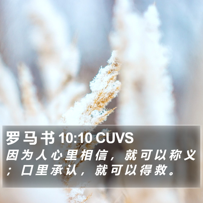 罗 马 书 10:10 CUVS Bible Study