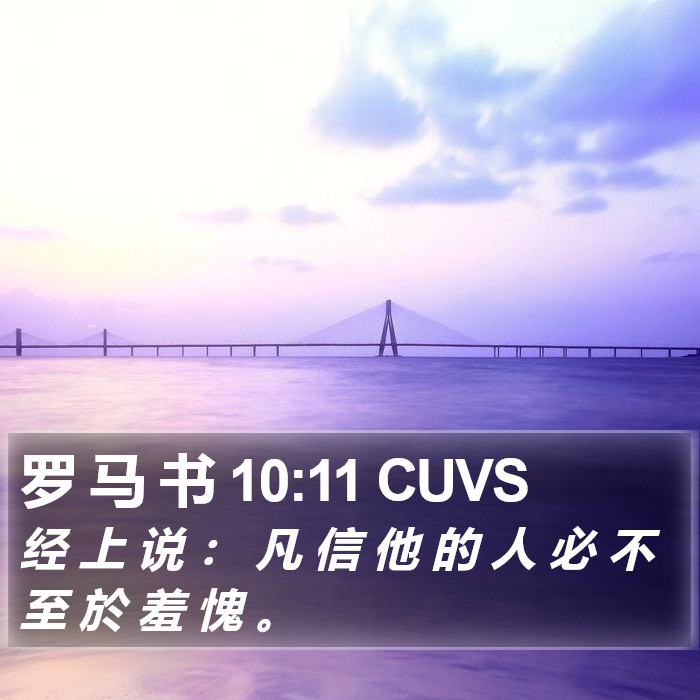 罗 马 书 10:11 CUVS Bible Study