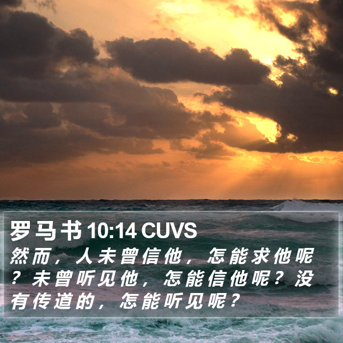 罗 马 书 10:14 CUVS Bible Study