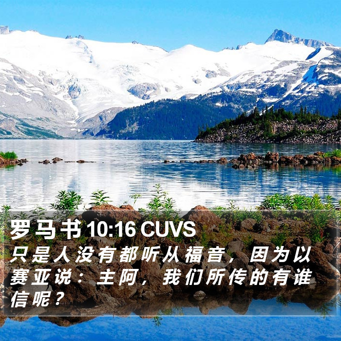 罗 马 书 10:16 CUVS Bible Study