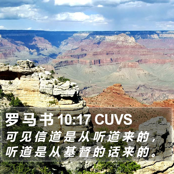 罗 马 书 10:17 CUVS Bible Study