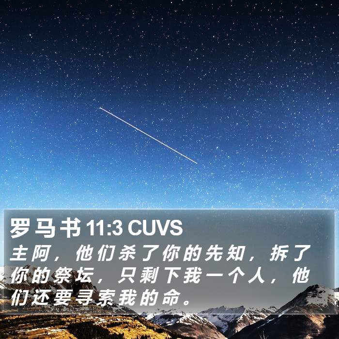 罗 马 书 11:3 CUVS Bible Study