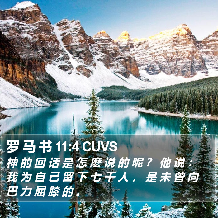 罗 马 书 11:4 CUVS Bible Study