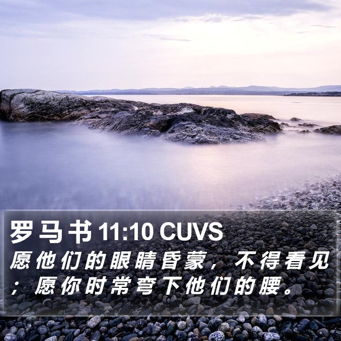 罗 马 书 11:10 CUVS Bible Study