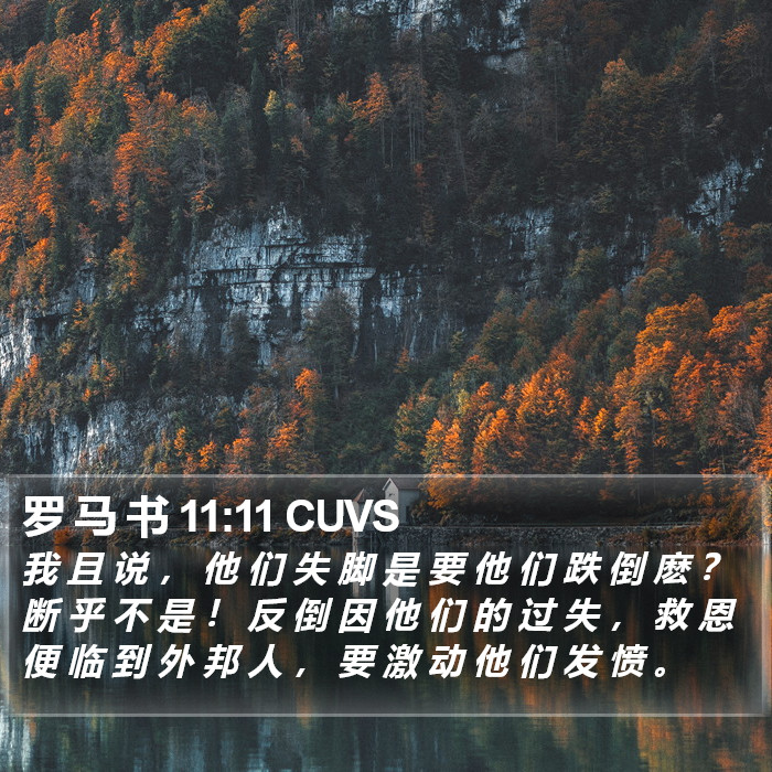 罗 马 书 11:11 CUVS Bible Study