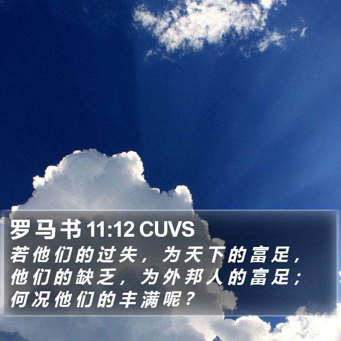 罗 马 书 11:12 CUVS Bible Study