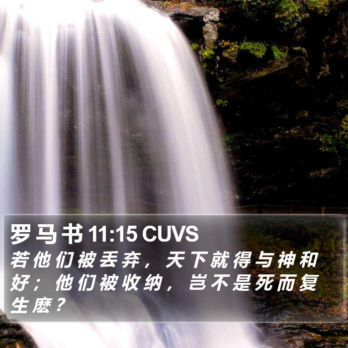 罗 马 书 11:15 CUVS Bible Study