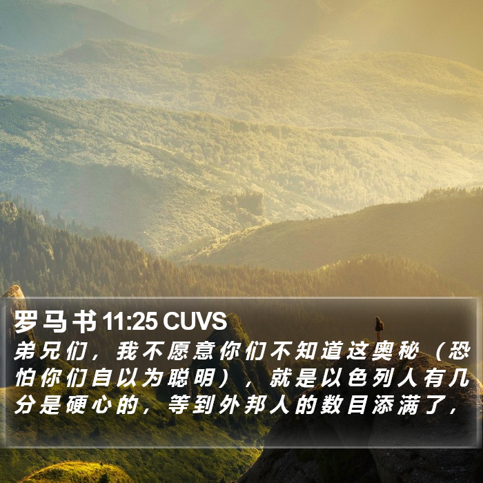 罗 马 书 11:25 CUVS Bible Study