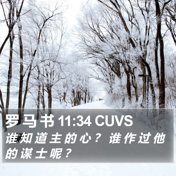 罗 马 书 11:34 CUVS Bible Study