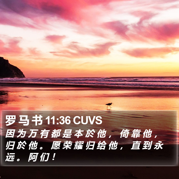 罗 马 书 11:36 CUVS Bible Study