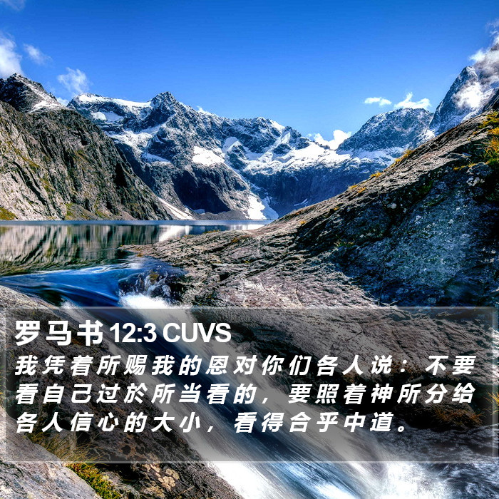 罗 马 书 12:3 CUVS Bible Study