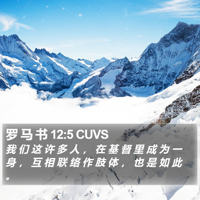 罗 马 书 12:5 CUVS Bible Study