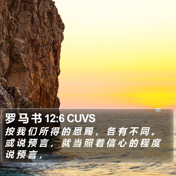 罗 马 书 12:6 CUVS Bible Study