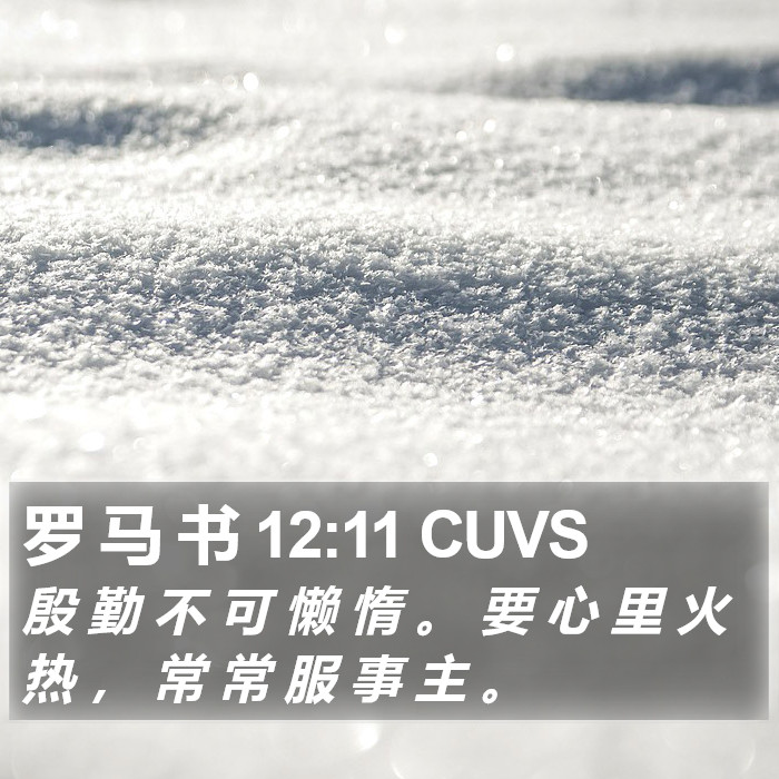 罗 马 书 12:11 CUVS Bible Study