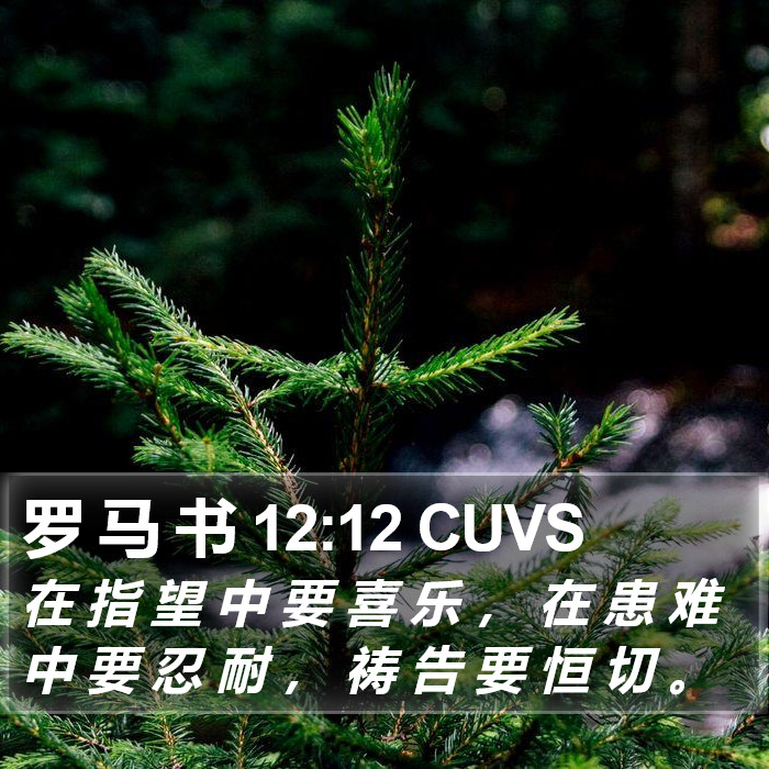 罗 马 书 12:12 CUVS Bible Study