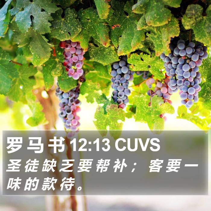 罗 马 书 12:13 CUVS Bible Study