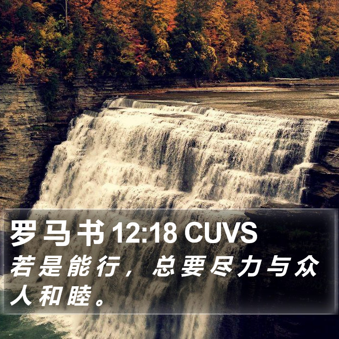 罗 马 书 12:18 CUVS Bible Study