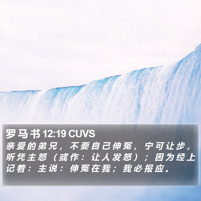 罗 马 书 12:19 CUVS Bible Study