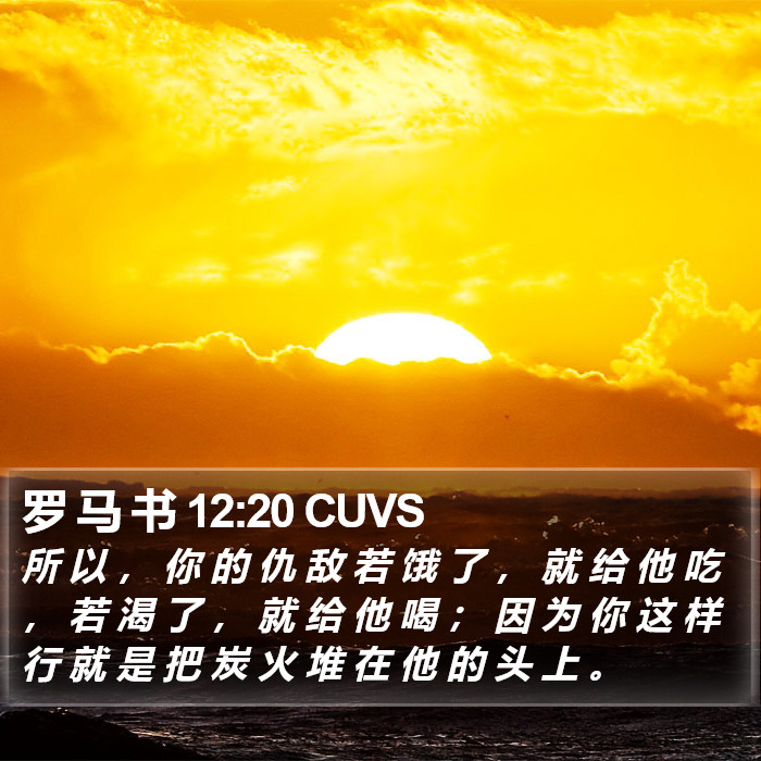 罗 马 书 12:20 CUVS Bible Study