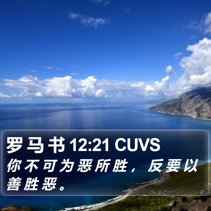 罗 马 书 12:21 CUVS Bible Study