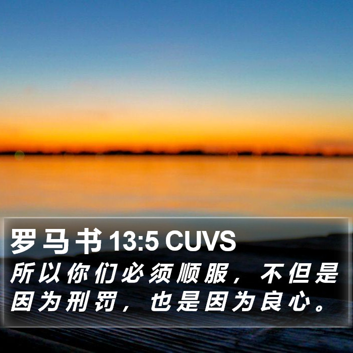 罗 马 书 13:5 CUVS Bible Study