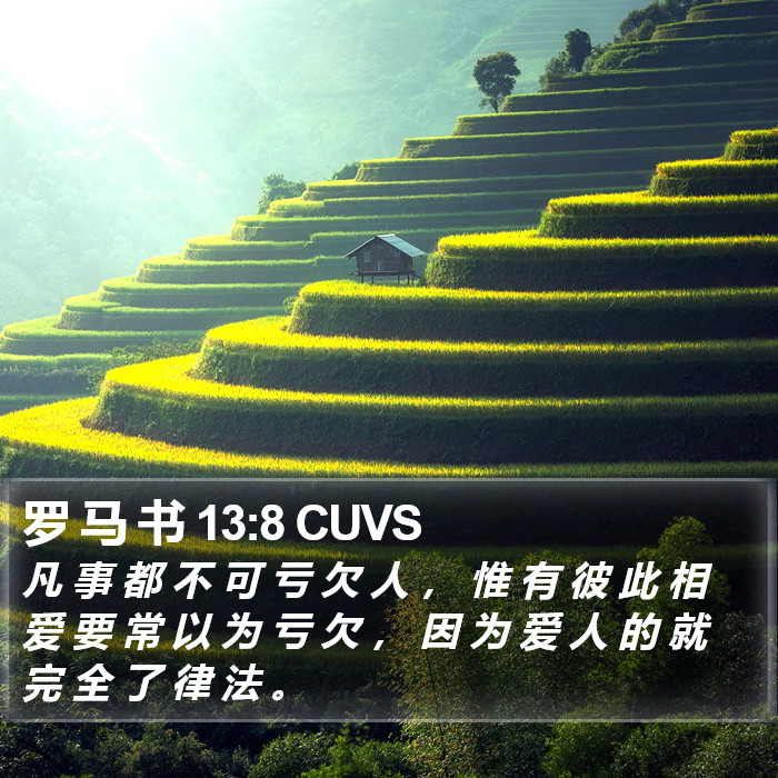 罗 马 书 13:8 CUVS Bible Study