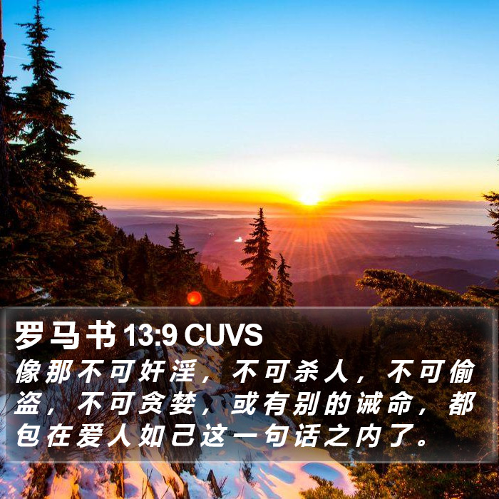 罗 马 书 13:9 CUVS Bible Study