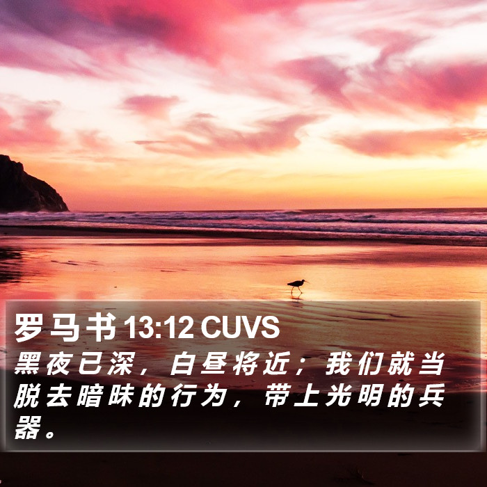 罗 马 书 13:12 CUVS Bible Study