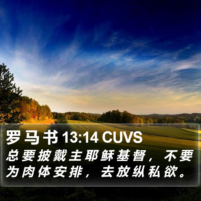 罗 马 书 13:14 CUVS Bible Study