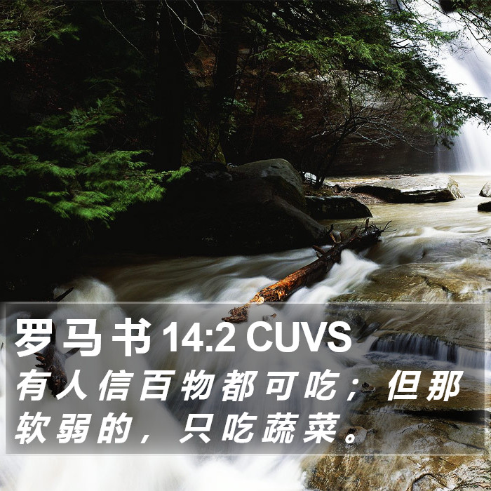 罗 马 书 14:2 CUVS Bible Study