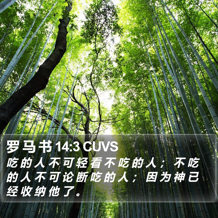 罗 马 书 14:3 CUVS Bible Study