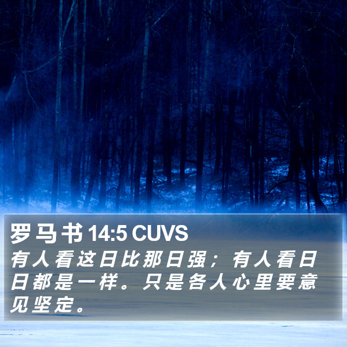 罗 马 书 14:5 CUVS Bible Study