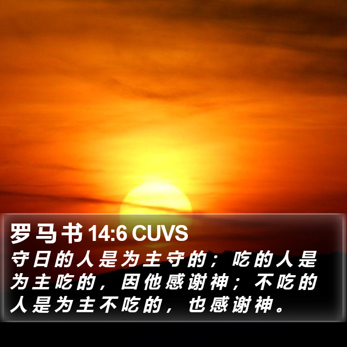 罗 马 书 14:6 CUVS Bible Study