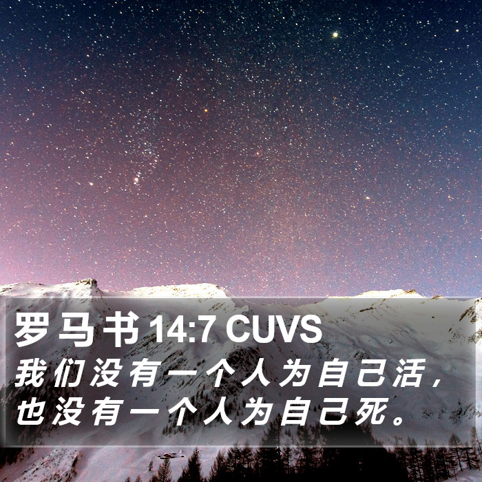 罗 马 书 14:7 CUVS Bible Study