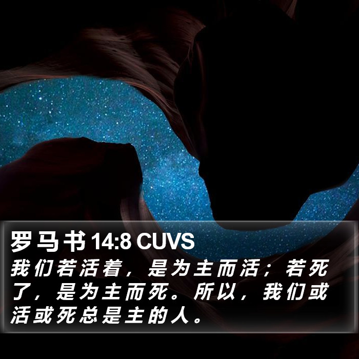 罗 马 书 14:8 CUVS Bible Study